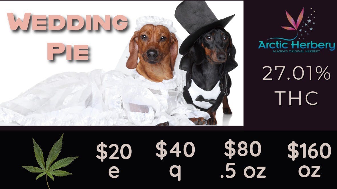 Arctic Herbery $20e-$160oz Multiple Strains 23%-27%. Top Shelf