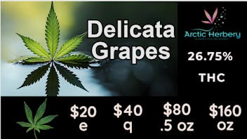 Arctic Herbery $20e-$160oz Multiple Strains 24%-26%.