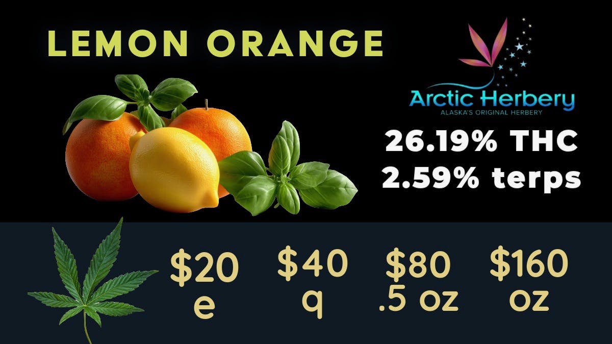Arctic Herbery $20e-$160oz Multiple Strains 23%-26%. Flower Day