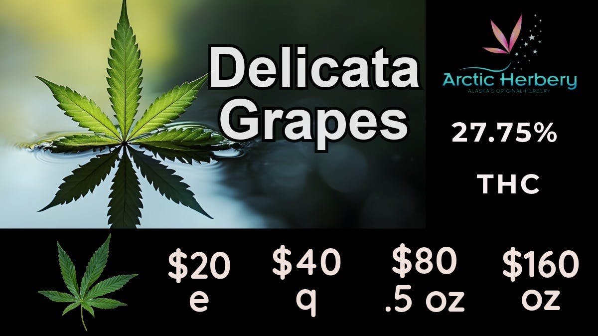 Arctic Herbery $20e-$160oz Various Strains 22-27% THC