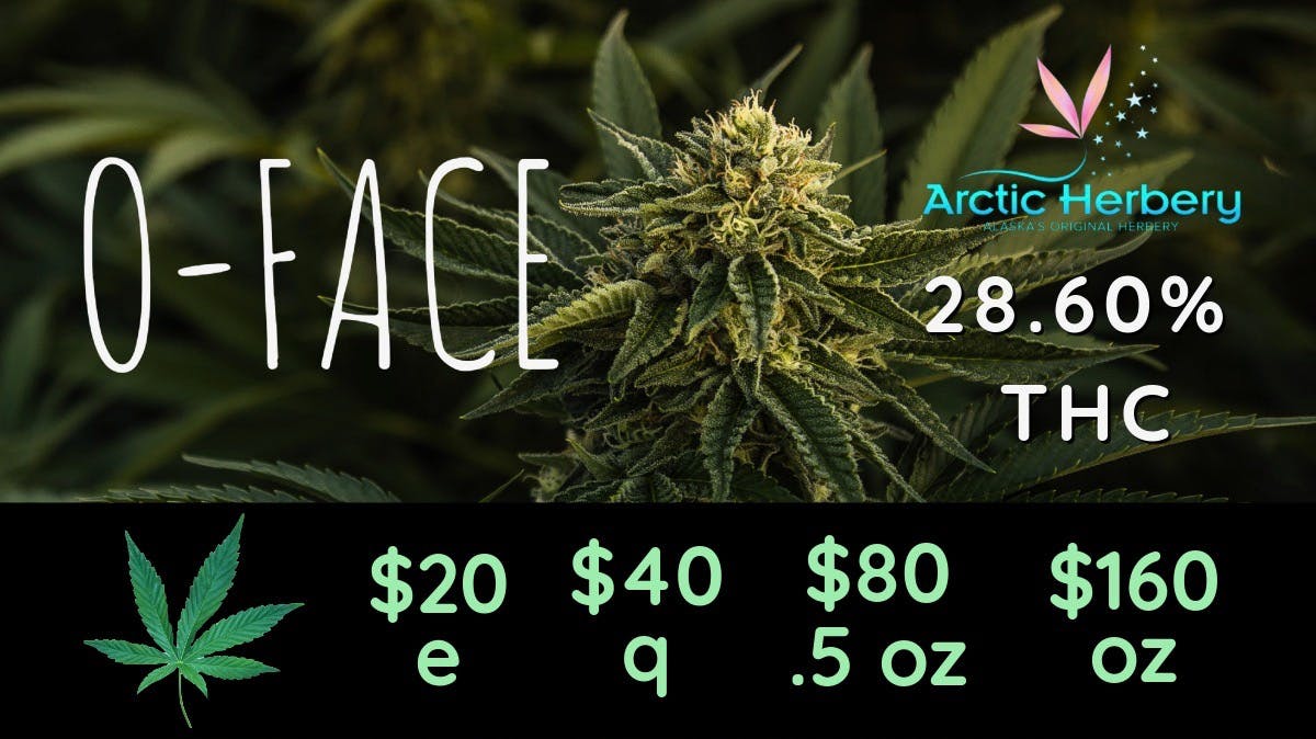 Arctic Herbery $20e-$160oz Various Strains 22-28% THC. Tasty Tues