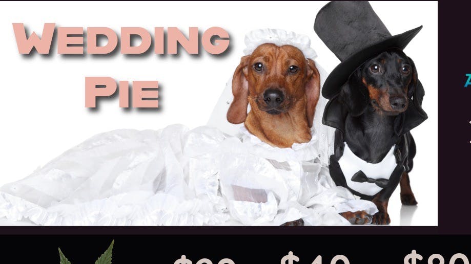 Arctic Herbery $20e-$160oz Various Premium Strains 23-27% THC.