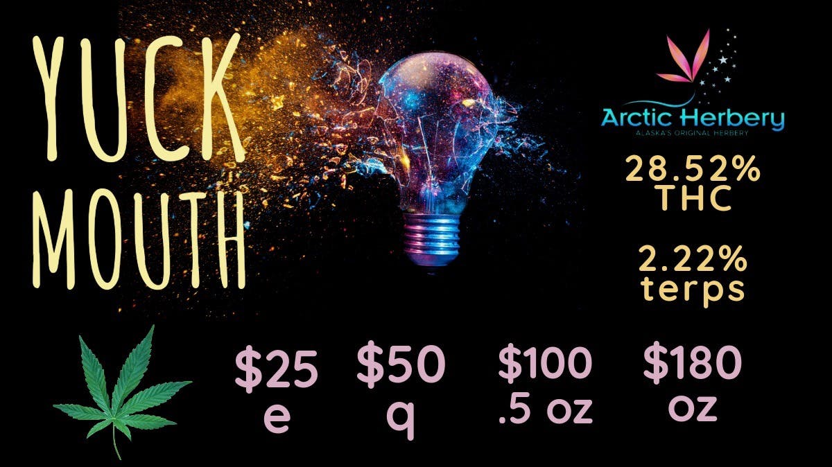 Arctic Herbery $20e-$160oz Various Premium Strains 23-28% THC.