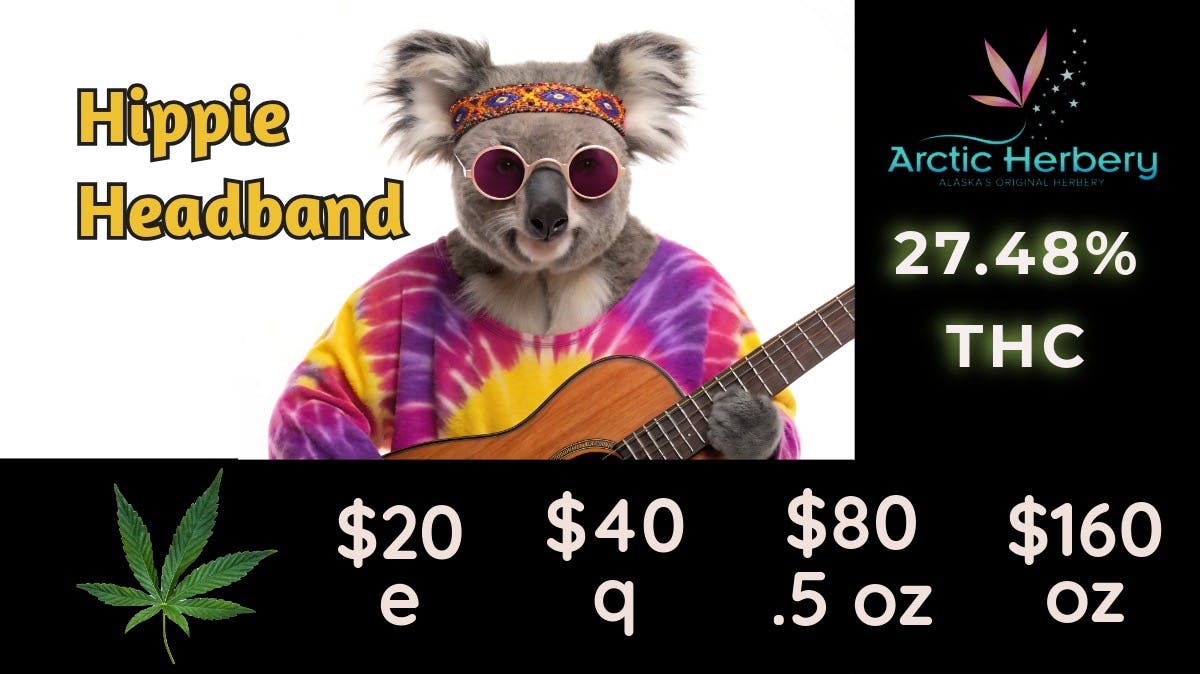 Arctic Herbery $20e-$160oz Various Premium Strains 20-27%. $30dab