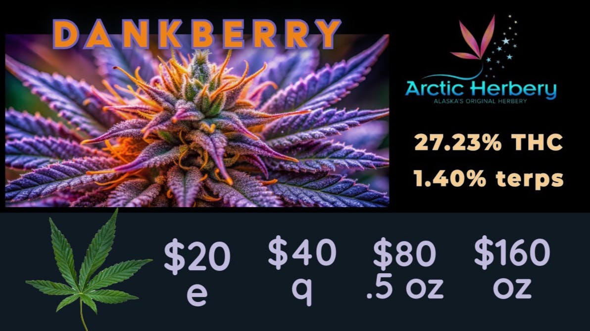 Arctic Herbery $20e-$160oz Various Premium Strains 22-27%. $30dab