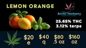 Arctic Herbery $20e-$160oz Various Premium Strains 22-25%. $30dab