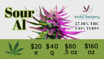 Arctic Herbery $20e-$160oz Various Premium Strains 23-27%. $30dab