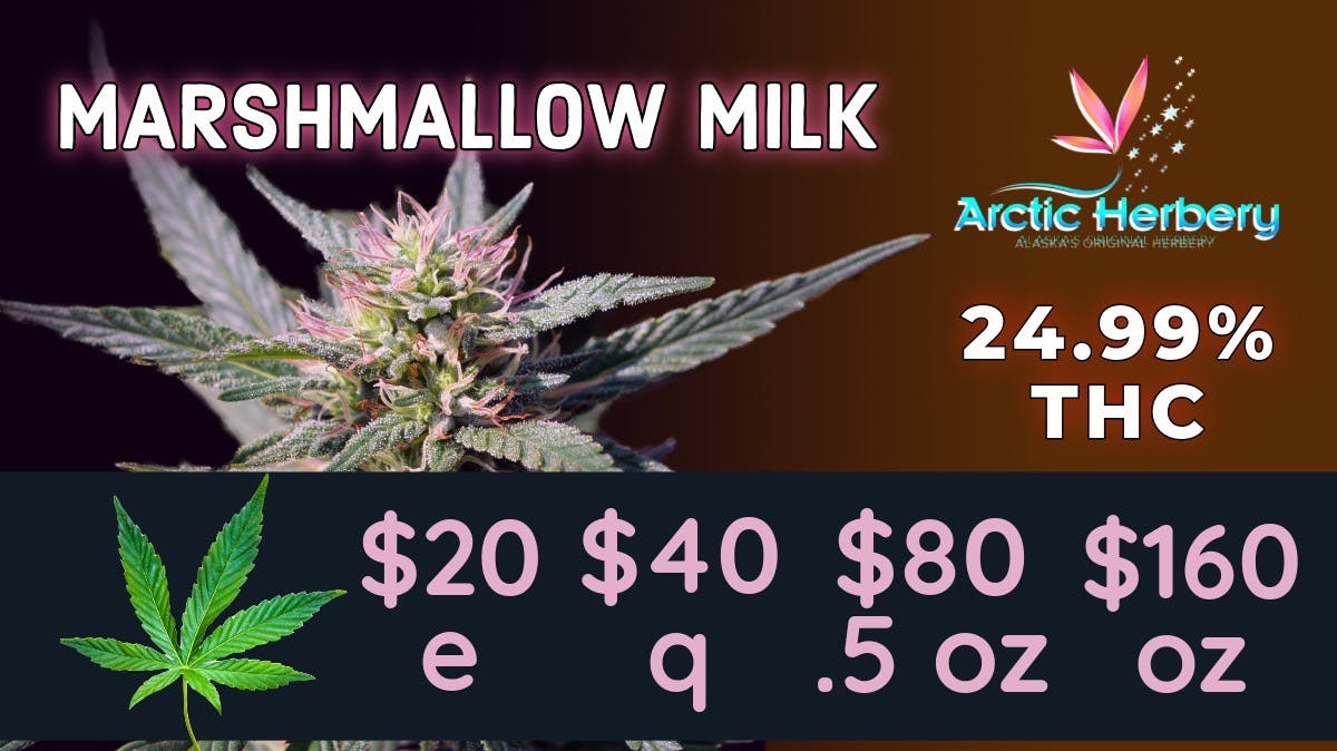 Arctic Herbery $20e-$160oz Various Premium Strains 22-24%. $30dab
