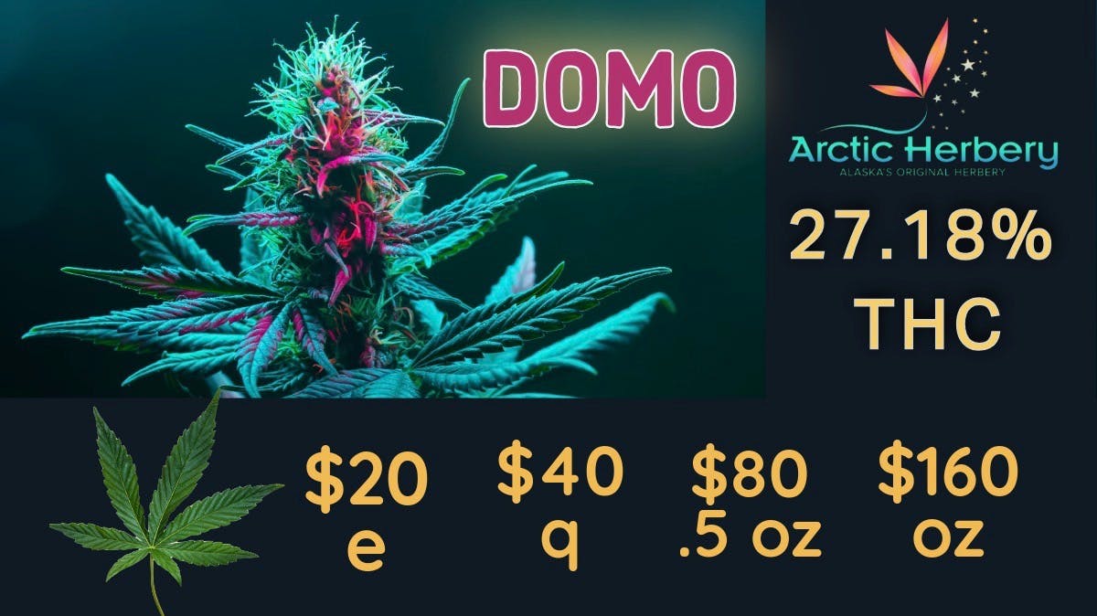 Arctic Herbery $20e-$160oz Various Premium Strains 22-27%. $30dab