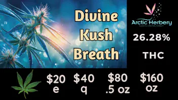 Arctic Herbery $20e-$160oz Various Premium (A-bud) Strains 22-28%