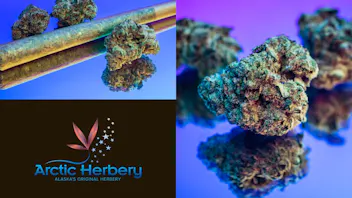 Arctic Herbery $20e-$160oz Various Strains 22-26%