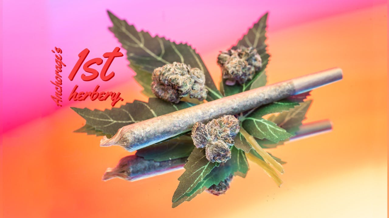 Arctic Herbery $20e-$160oz Various Strains (premium bud) 21-25%