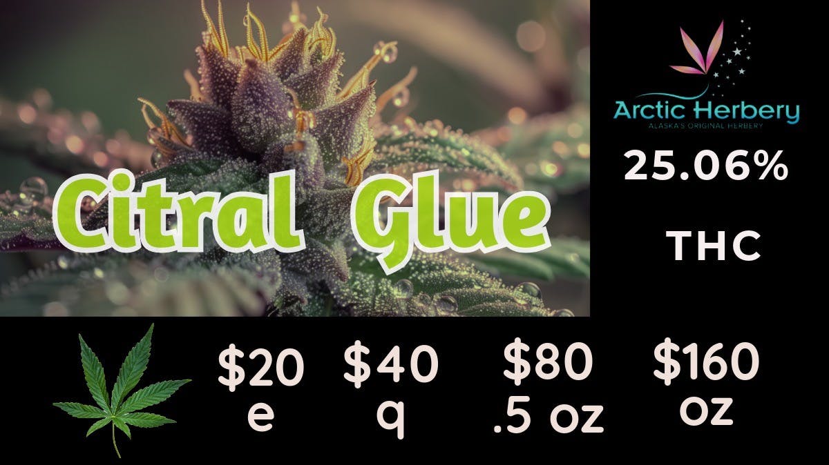 Arctic Herbery $20e-$160oz Various Strains (premium bud) 21-25%