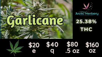Arctic Herbery $20e-$160oz Various Strains (premium bud) 20-25%