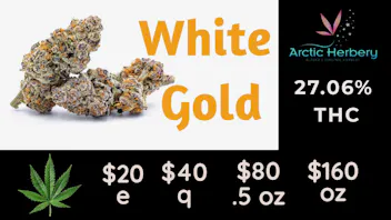 Arctic Herbery $20e-$160oz Various Strains (premium bud) 20-25%