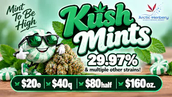 Arctic Herbery $20e-$160oz Various Strains 29%-21% THC