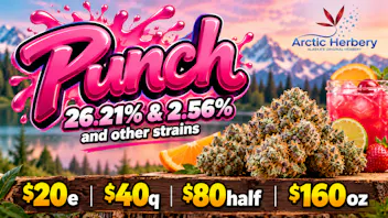 Arctic Herbery $20eighth, $40quarter, $80half & $160oz 21-26% THC