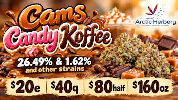 Arctic Herbery $20eighth, $40quarter, $80half & $160oz 23-26% THC