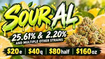 Arctic Herbery $20eighth, $40quarter, $80half & $160oz 20-25% THC