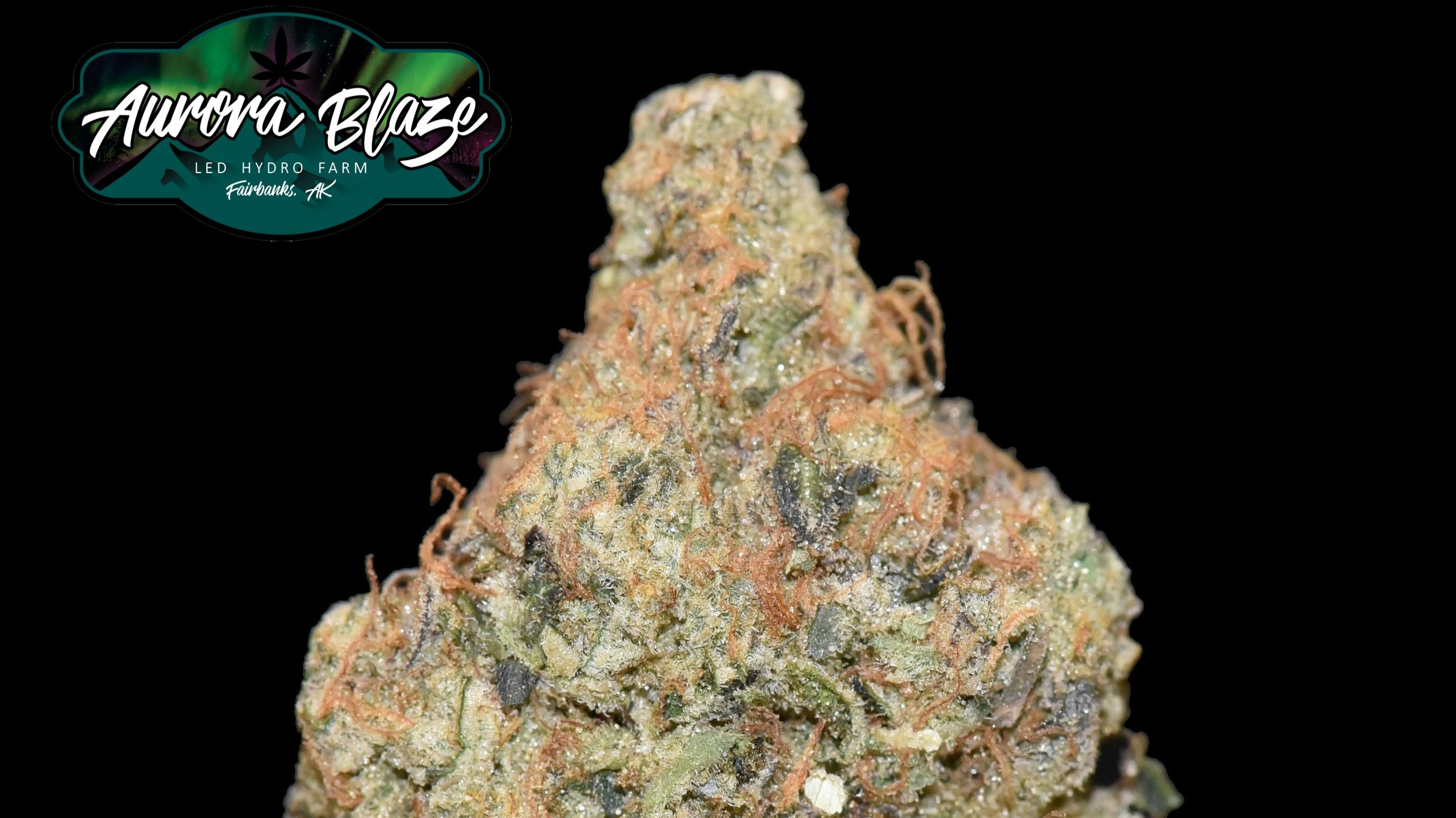 Bad Gramm3r Chemdawg 26% THC $25 3.5g