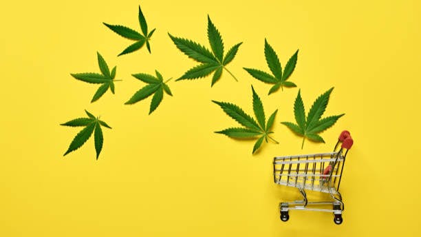 One Hit Wonder 15% Off Tinctures