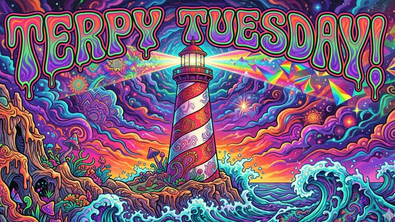 Carter's Kind "Let's Heal Together" 💖10% Off 1 Gram All In 1 Vapes!!💖