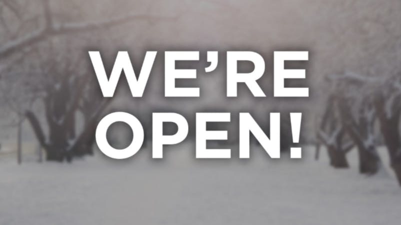 Local'd DC Snow Day Deal 1/25/26