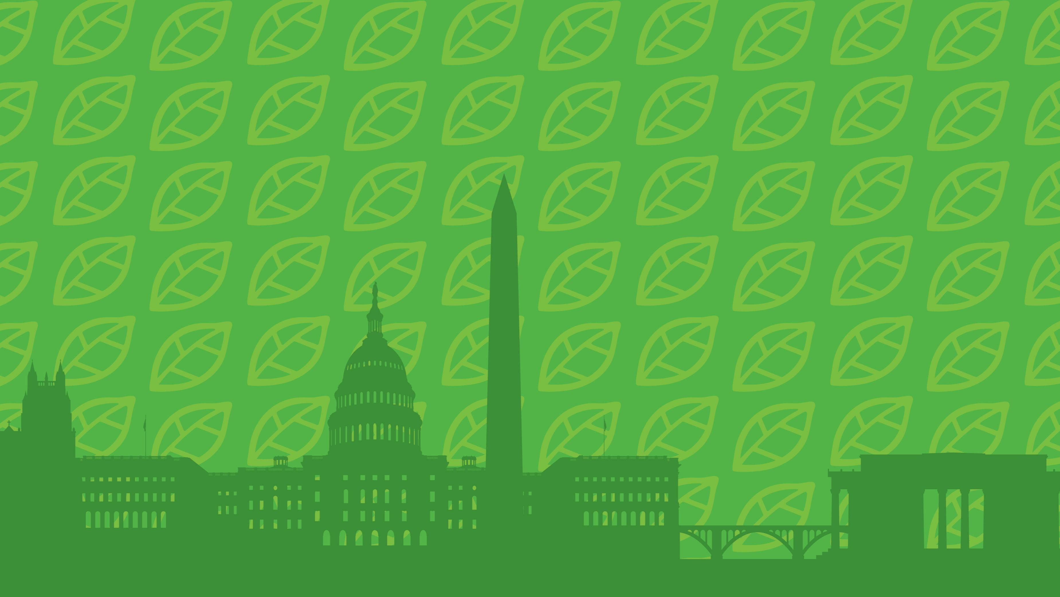 Local'd DC 25% OFF | Weedmaps Exclusive Discount