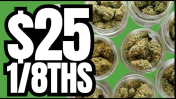 Green Point Wellness - Laurel Tuesday Deals at Laurel!!!