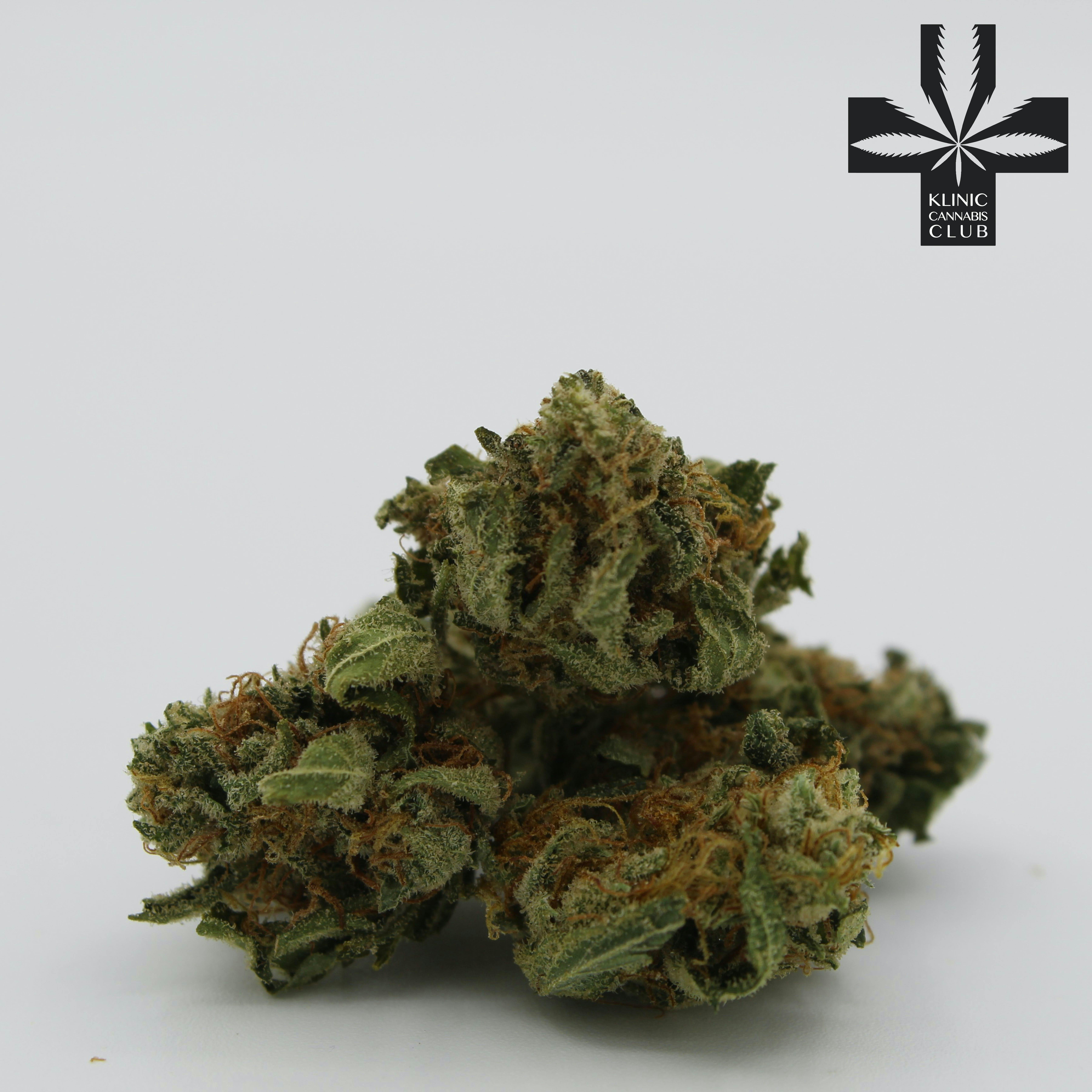 Lemon Garlic OG