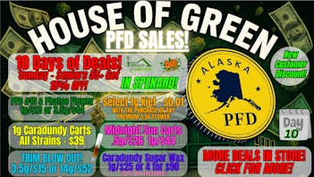 House of Green Sunday Funday at Spenard!
