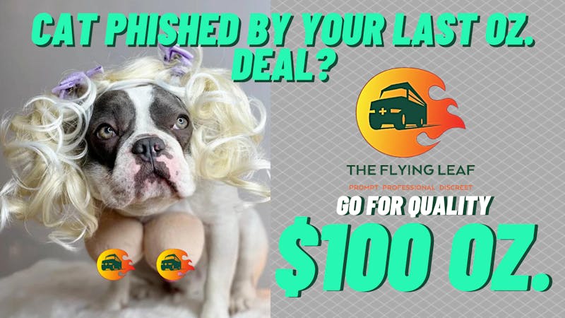 The Flying Leaf $100 OZ. Deal !
