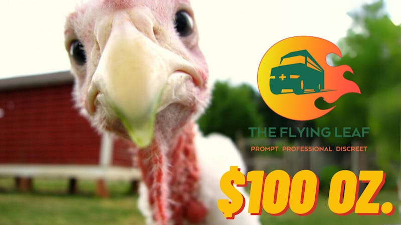 The Flying Leaf $100 OZ. Deal !