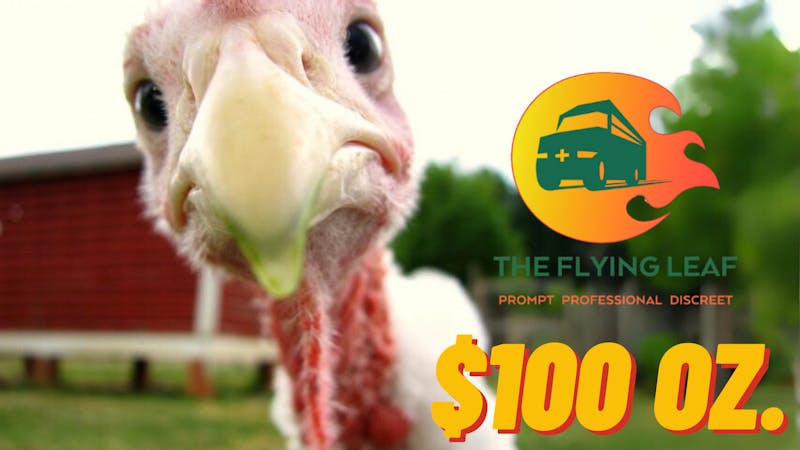 The Flying Leaf $100 OZ. Deal !