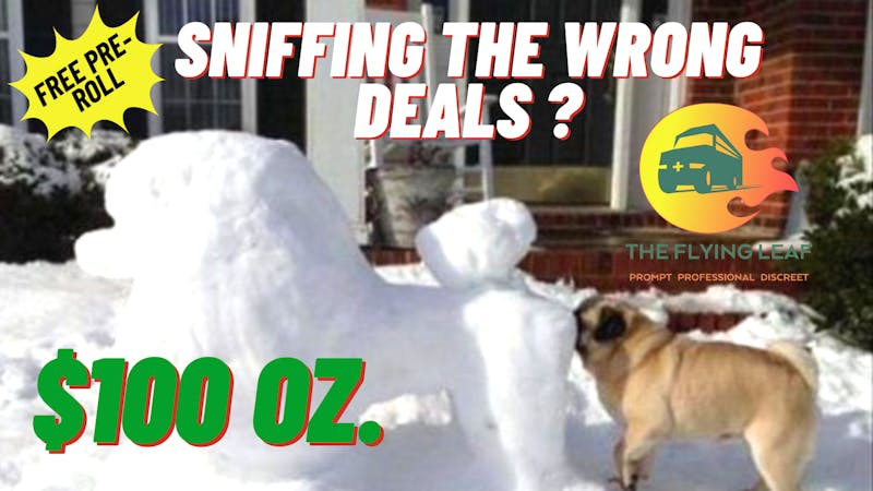 The Flying Leaf $100 OZ. Deal !