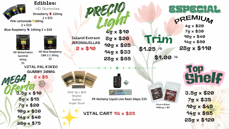 The Healthy Cloud ☁️🔥NUEVAS OFERTAS!!! 🔥☁️