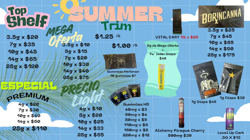 The Healthy Cloud ☀️🔥NUEVAS OFERTAS Y PRODUCTOS DE VERANO!!! 🔥☀️