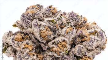 Blair Wellness Center $15 SALE! 20% OFF $30-$35! MED: 30% OFF + MORE!