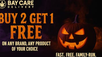 Bay Care Delivery Buy 2 Get 1 FREE - Any Product, Any Brand