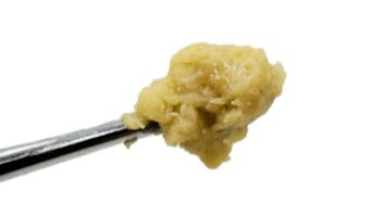 The Great Atlantic Puffin Company - Adult Use Live Hash Rosin Sale!