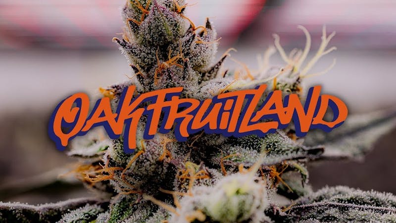 LEAF Oakfruitland Quality 7g (B2 Get 7g (I) For $1)