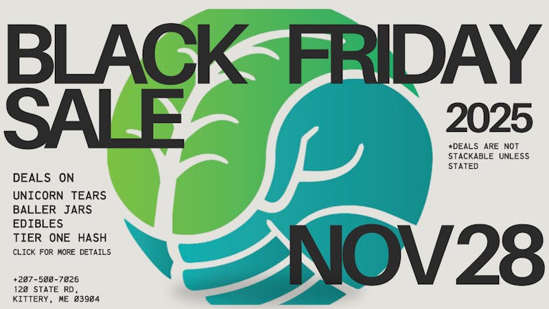 Indico Black Friday Deals