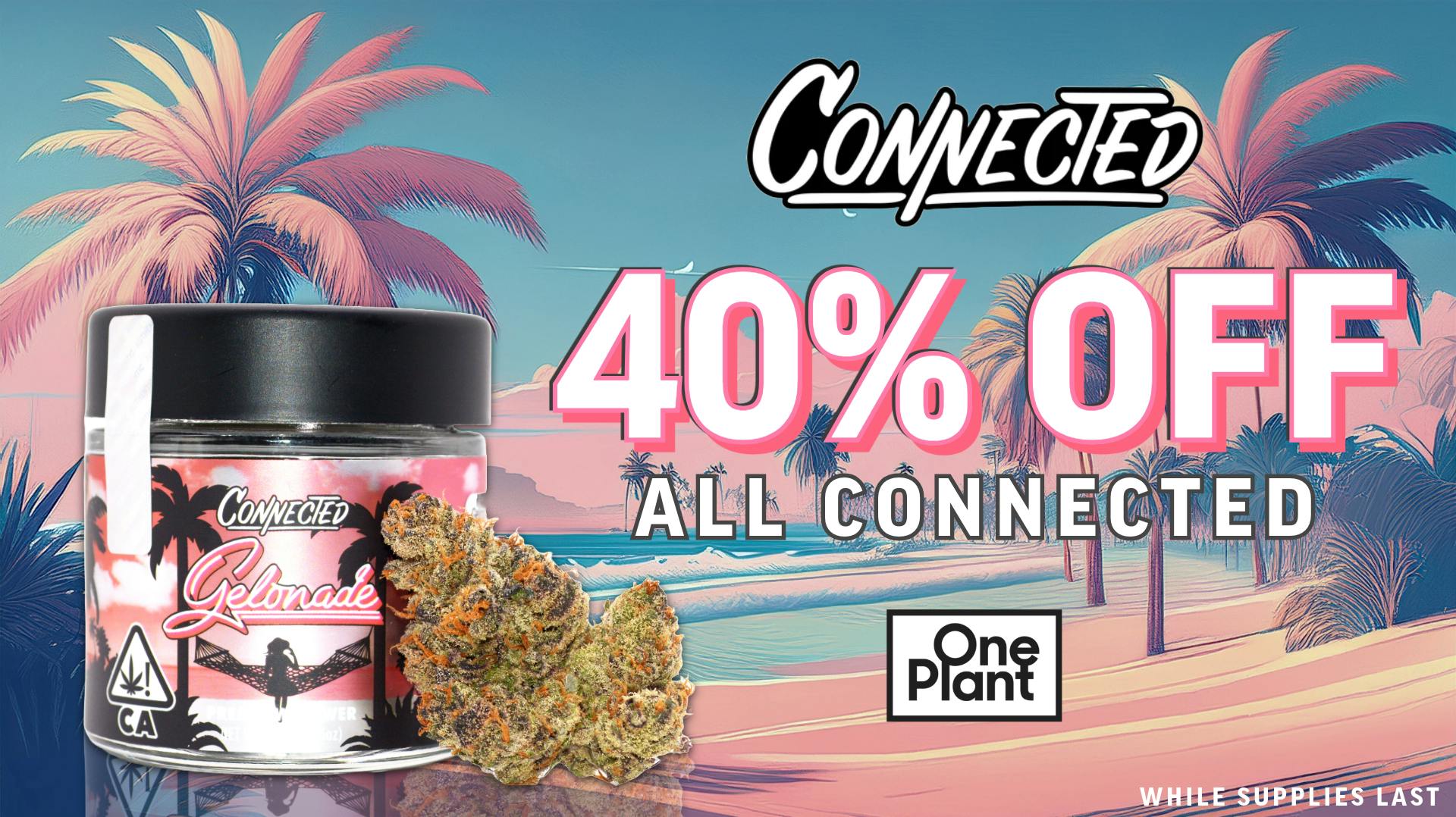 One Plant Santa Cruz 40% Off Connected Flower!