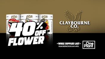 One Plant Santa Cruz 40% Off Claybourne Flower!