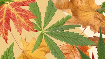 RedEye 420 END OF THE MONTH SALE!!!!