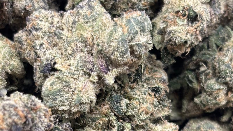 Houston Grass Station 10$ p/gram Flower