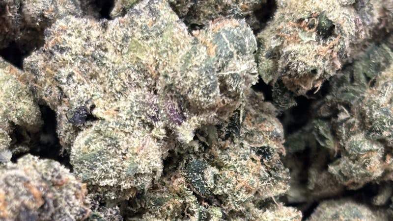 Houston Grass Station Great New Deals!