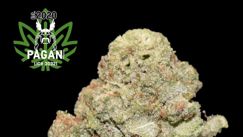 Bad Gramm3r 2 Strains By Pagan Enterprises for $25.71/g !!