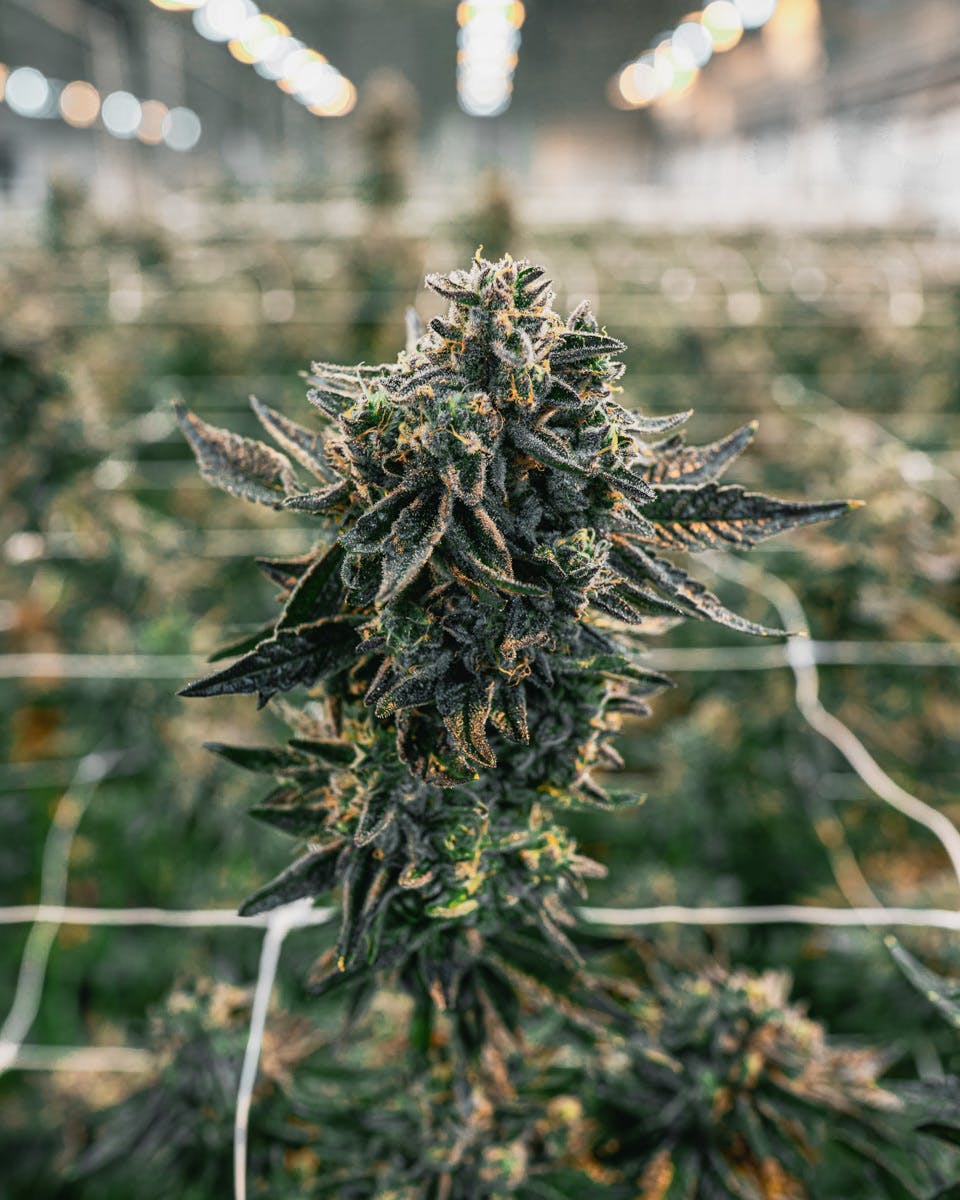 The Circle Delivery - Delivery Listing - Photo 3