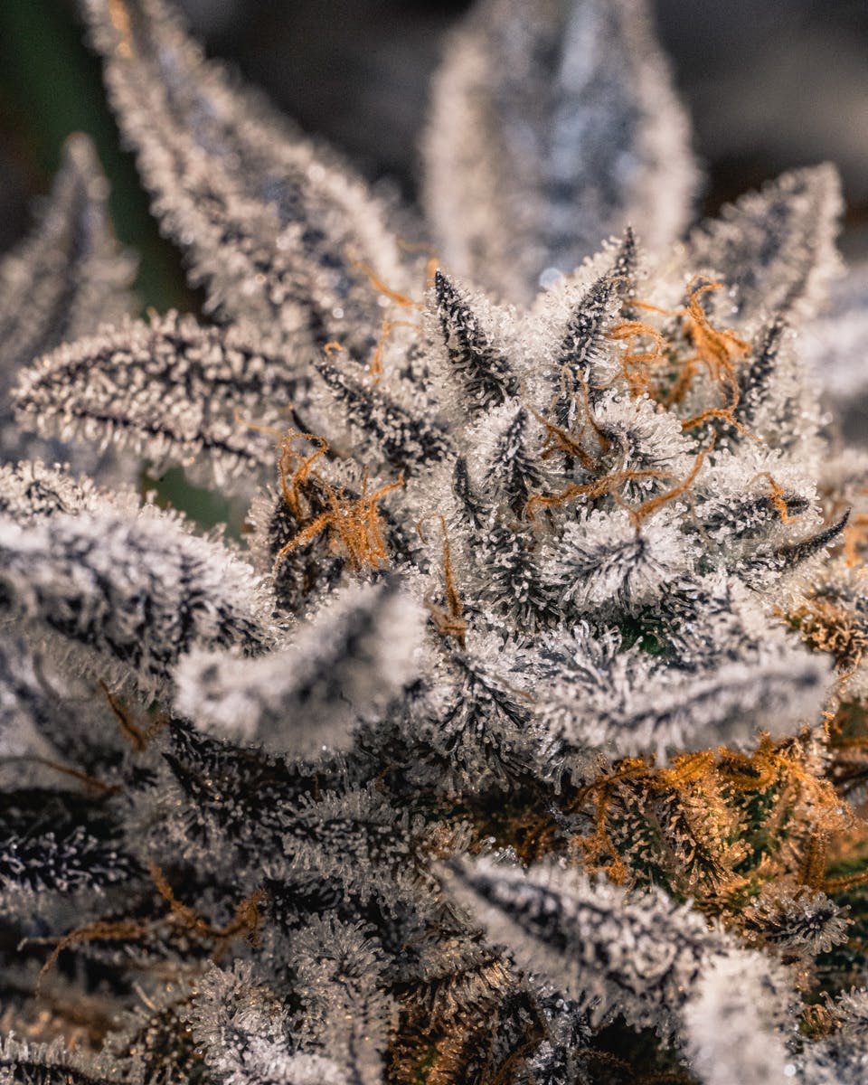 The Circle Delivery - Delivery Listing - Photo 1